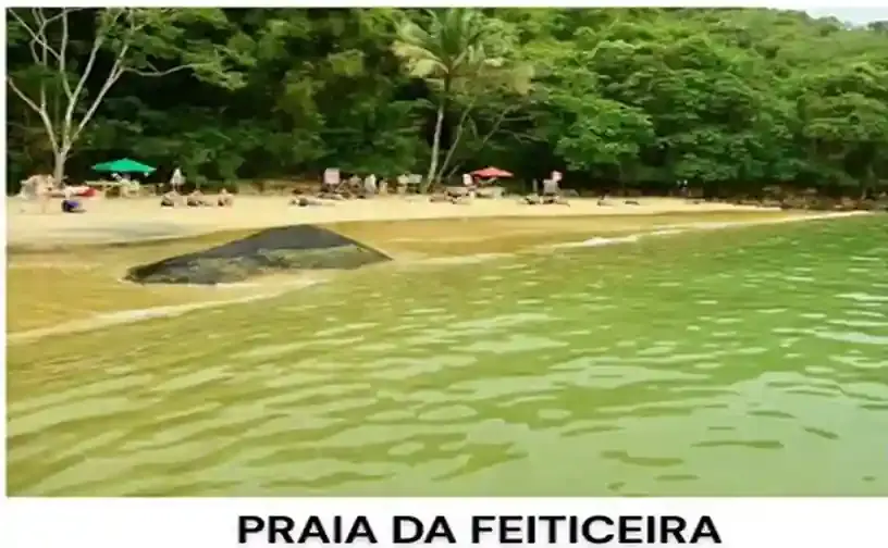 Meia volta