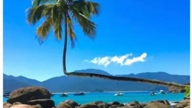 Volta à Ilha